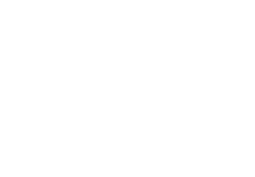 the 3003 PAC logo